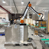 COLLABORATIVE PALLETIZING ROBOT