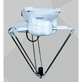 PARALLEL PACKING ROBOT