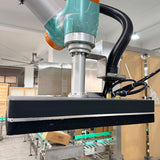 COLLABORATIVE PALLETIZING ROBOT