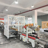 PARALLEL PACKING ROBOT